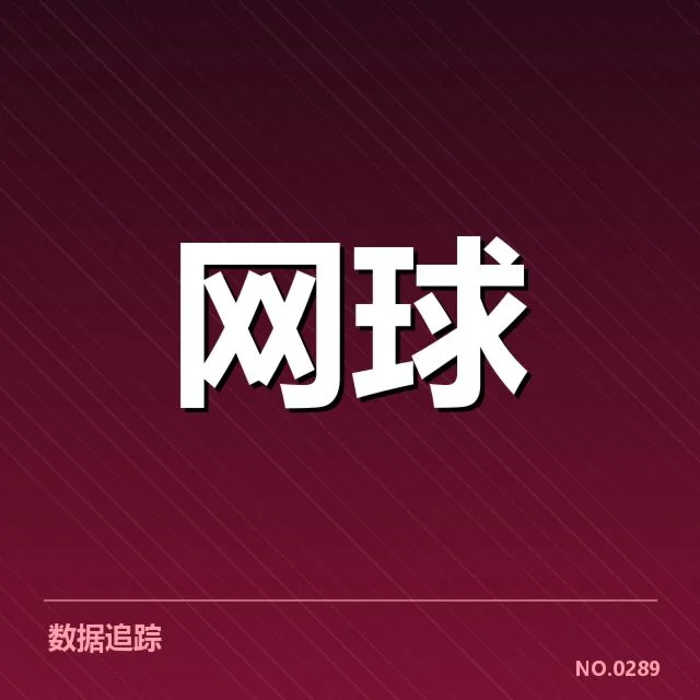 李娜伤后康复进展：运动表现恢复情况如何